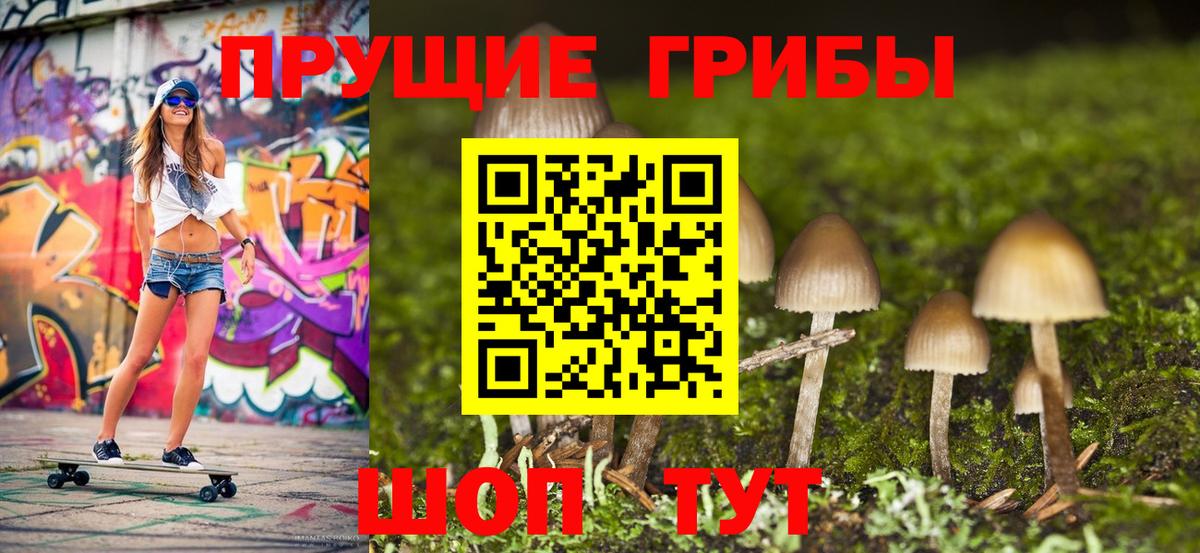 Дивногорск  Псилоцибиновые грибы Psilocybe  Галлюциногенные грибы прущие грибы  Вход с VPN 