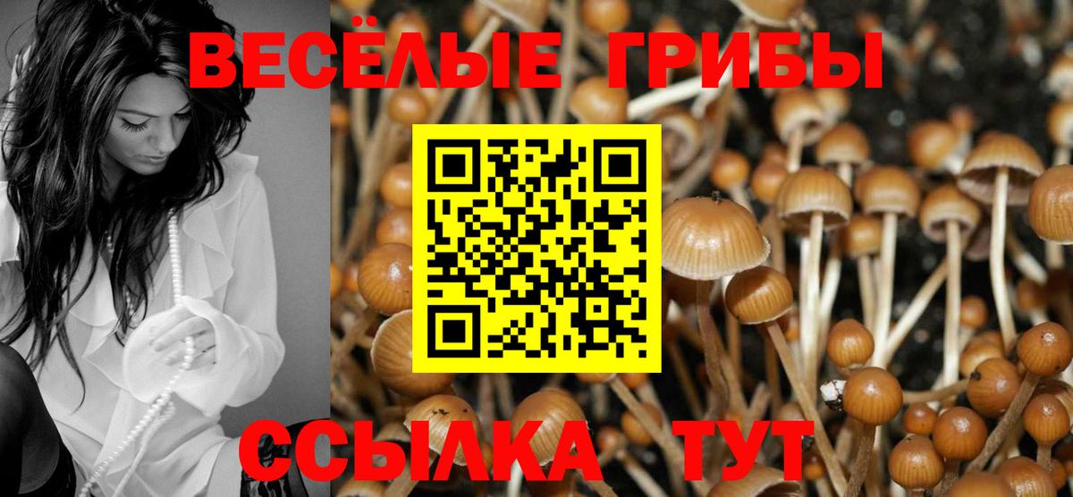 Псилоцибиновые грибы GOLDEN TEACHER Дивногорск